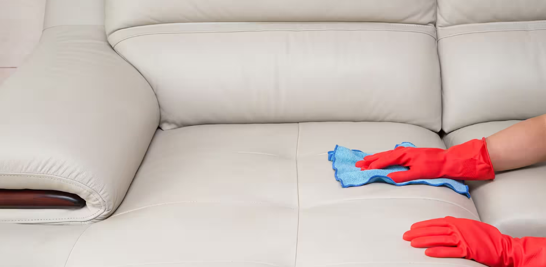 how to clean pee off couch